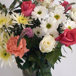 Unbranded Mums the Word