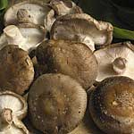 The most sought after of all gourmet varieties. Best cooked  it exudes a rich  smoky flavour with a 