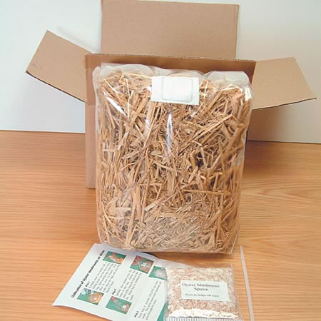 Unbranded Mushroom Straw Kits - Oyster (1 Bag Kit) 1 Bag