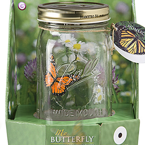 Unbranded My Butterfly Toy Jars - Blue Morpho