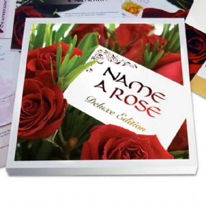 Unbranded Name A Rose Deluxe Edition