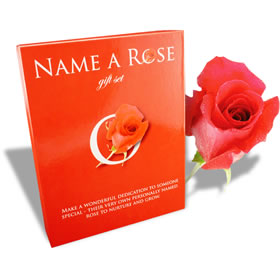 Name A Rose Gift Set - Dd
