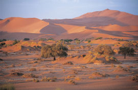 Unbranded Namibia family safaris