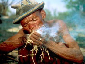 Unbranded Namibia self drive safari