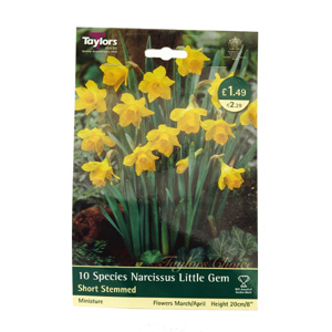 These daffodils are great for naturalising in woodlands or lawns. They like well-drained but moist  
