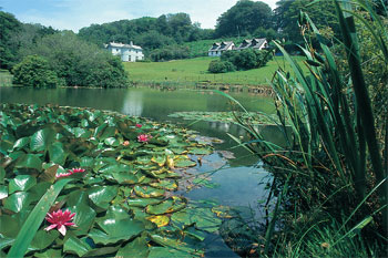 Unbranded Natalie Jane