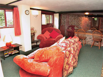 Unbranded Natterjack