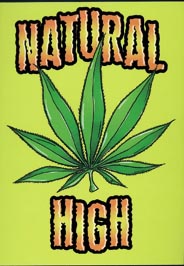 Natural High Keyring