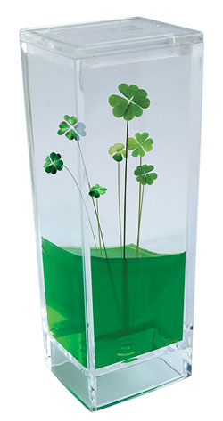 Natural History Museum Four Leaf Clover