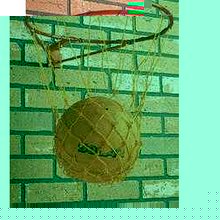 Unbranded Netball Ring