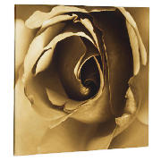 Unbranded Neutral Rose Canvas 50X50cm