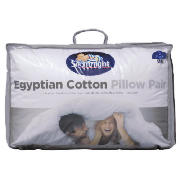 Unbranded New Silentnight Egyptian cotton pillow pair