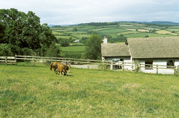 Unbranded Newcombe Cottage