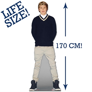 Unbranded Niall Horan Cardboard Cutout
