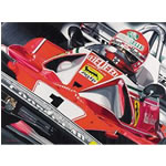 Unbranded Niki Lauda Giclee