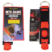 Unbranded Nite Dawg LED Collar Small Orange