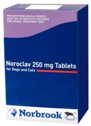 Unbranded Noroclav 250mg - Single Tablets