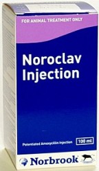 Unbranded Noroclav Injection - 100ml