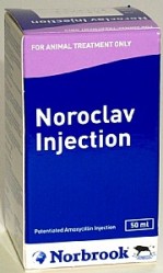 Unbranded Noroclav Injection - 50ml