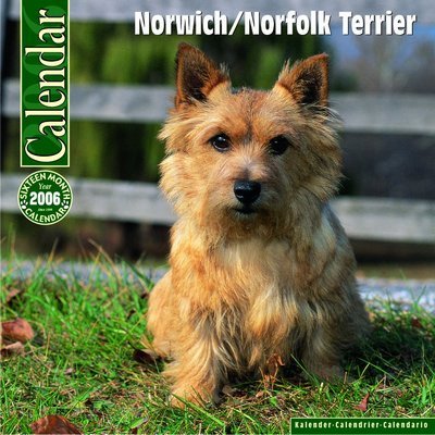 Norwich/Norfolk Terrier Calendar