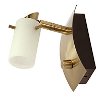 Unbranded OA948 1AB - Antique Brass Wall Spot Light