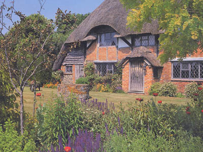 Cardboard jigsaw puzzle