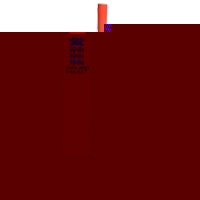 Unbranded Official ECB 3 Lions Mini Cricket Bat.