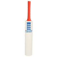 Unbranded Official England Cricket 3 Lions Mini Cricket Bat.