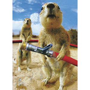 Unbranded Okay Light The Candles Birthday Card