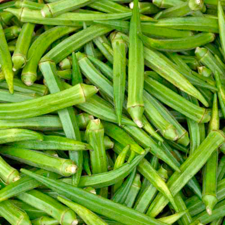 Unbranded Okra Pure Luck F1 Plants Pack of 5 Pot Ready