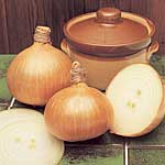 Unbranded Onion (Bulb) Bedfordshire Champion Seeds -