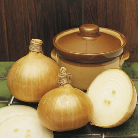 Unbranded Onion (Bulb) Bedfordshire Champion Seeds Average