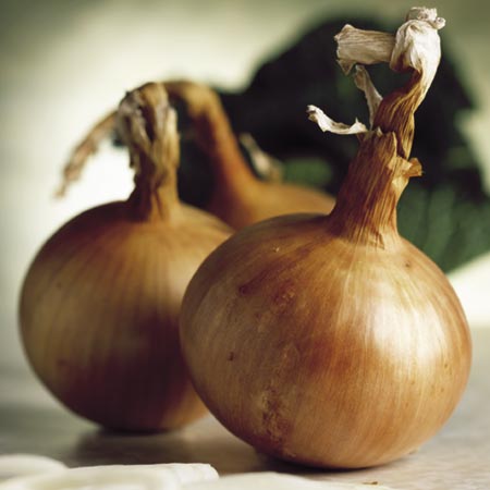 Unbranded Onion (Bulb) Hytech F1 Seeds Average Seeds 200