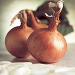 Unbranded Onion (Bulb) Hytech F1 Seeds