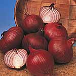 Unbranded Onion (Bulb) Red Baron Seeds 437953.htm