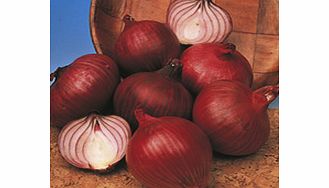 Unbranded Onion (Bulb) Red Baron Seeds