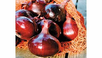 Unbranded Onion (Bulb) Red Pearl F1 Seeds
