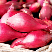 Unbranded Onion (Bulb) Seeds - Red Baron