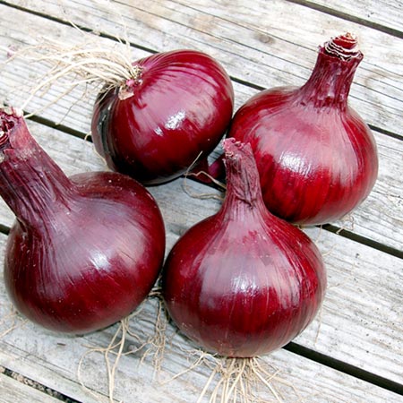 Unbranded Onion Karmen Average Seeds 210