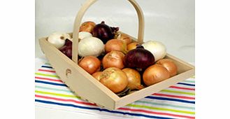 Unbranded Onion Plants - Collection