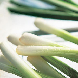 Onion Seed Salad White Lisbon