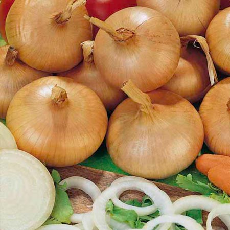 Unbranded Onion Set Stanfield (400g) 400g Pack