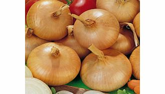 Unbranded Onion Sets - Stuttgarter