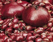 Unbranded Onion Sets - Triple Pack