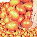 Unbranded Onion Sets Setton (400g) 174018.htm