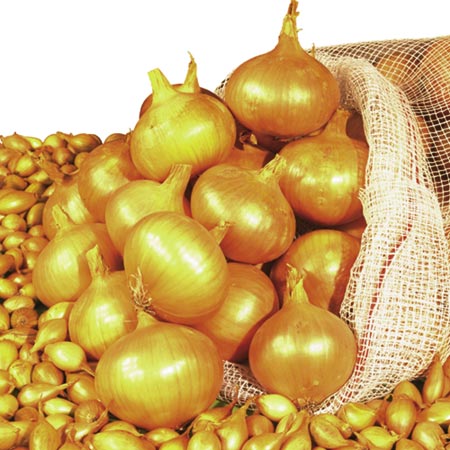 Unbranded Onion Sets Setton (400g) 400g Pack