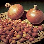Unbranded Onion Sets Sturon (200g)