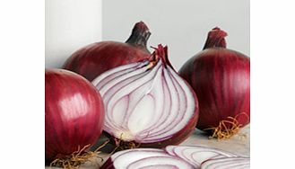 Unbranded Onion Triple Pack - Spring Planting