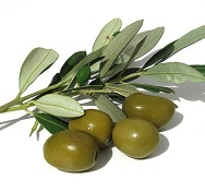 Unbranded Opalino olive oil, 50cl