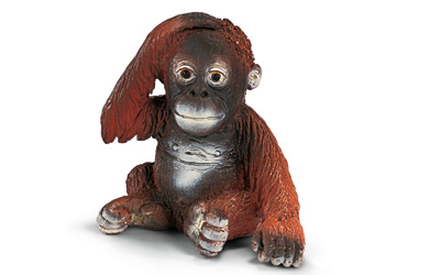 Unbranded Orang-Utan Young